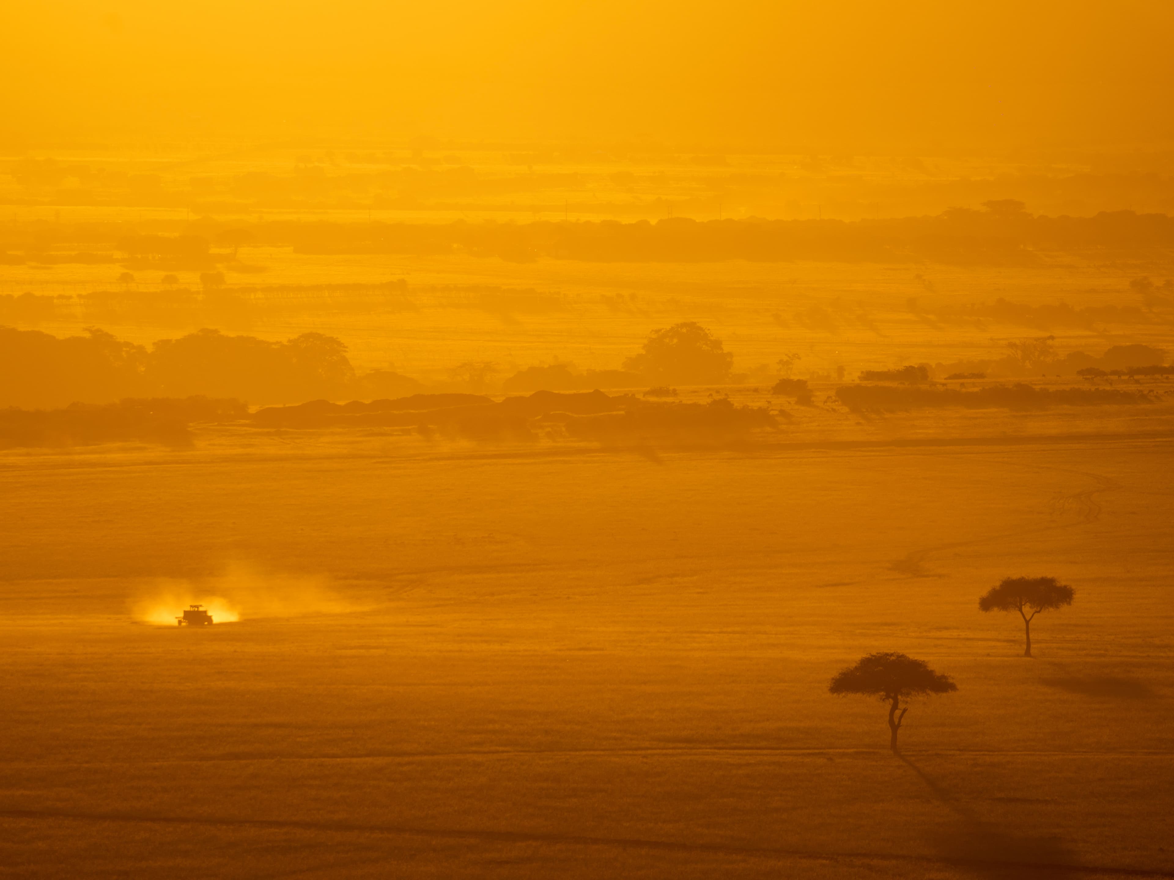 African landscape